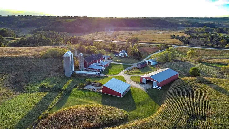 Home Sweet Farm