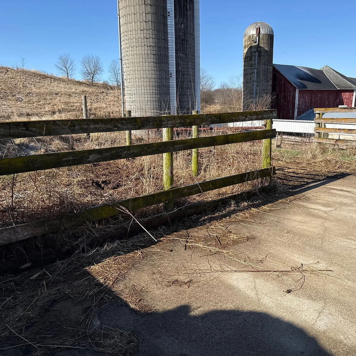 Kiss the Ground! We got a Grant!