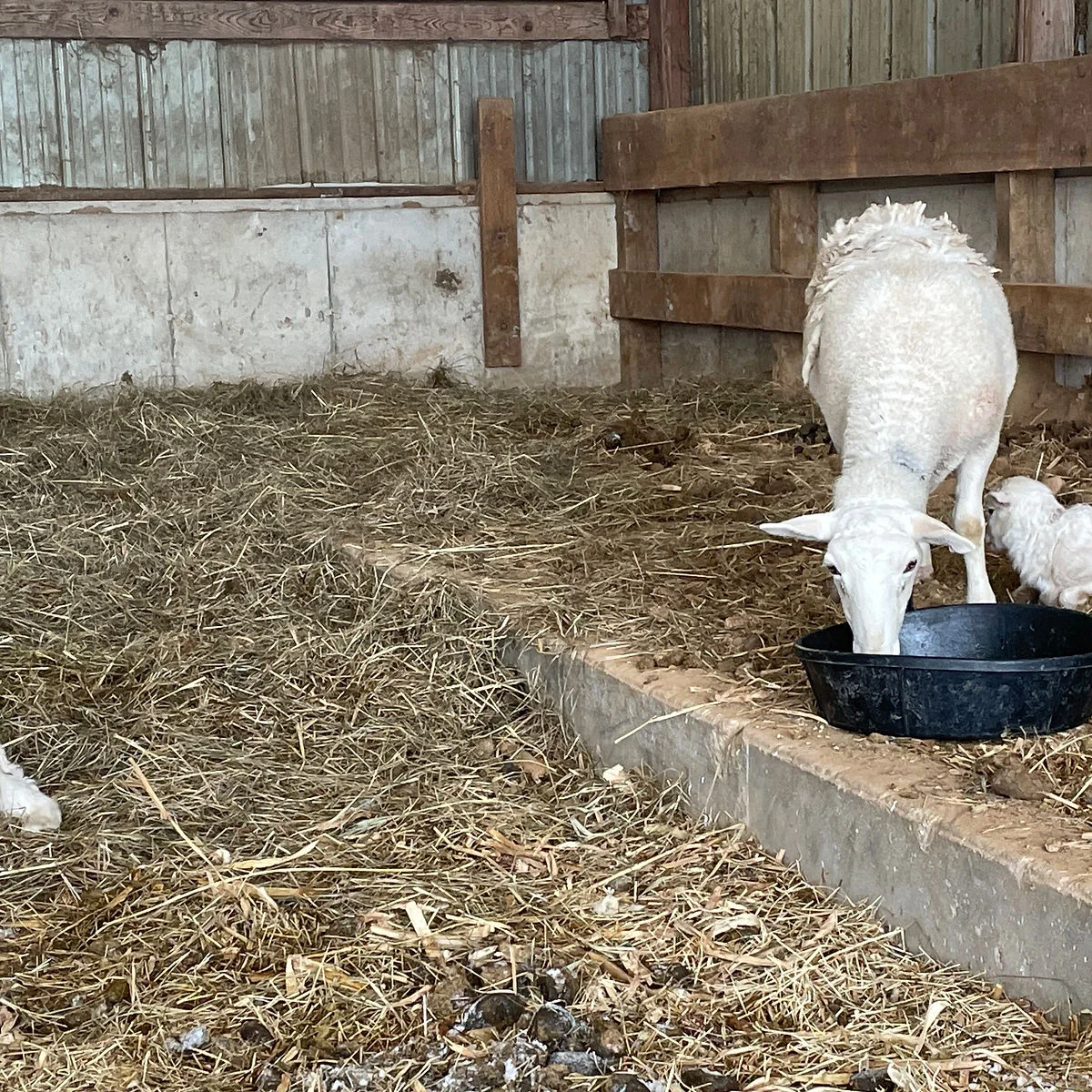 New Year, New(born) Life, New Plans