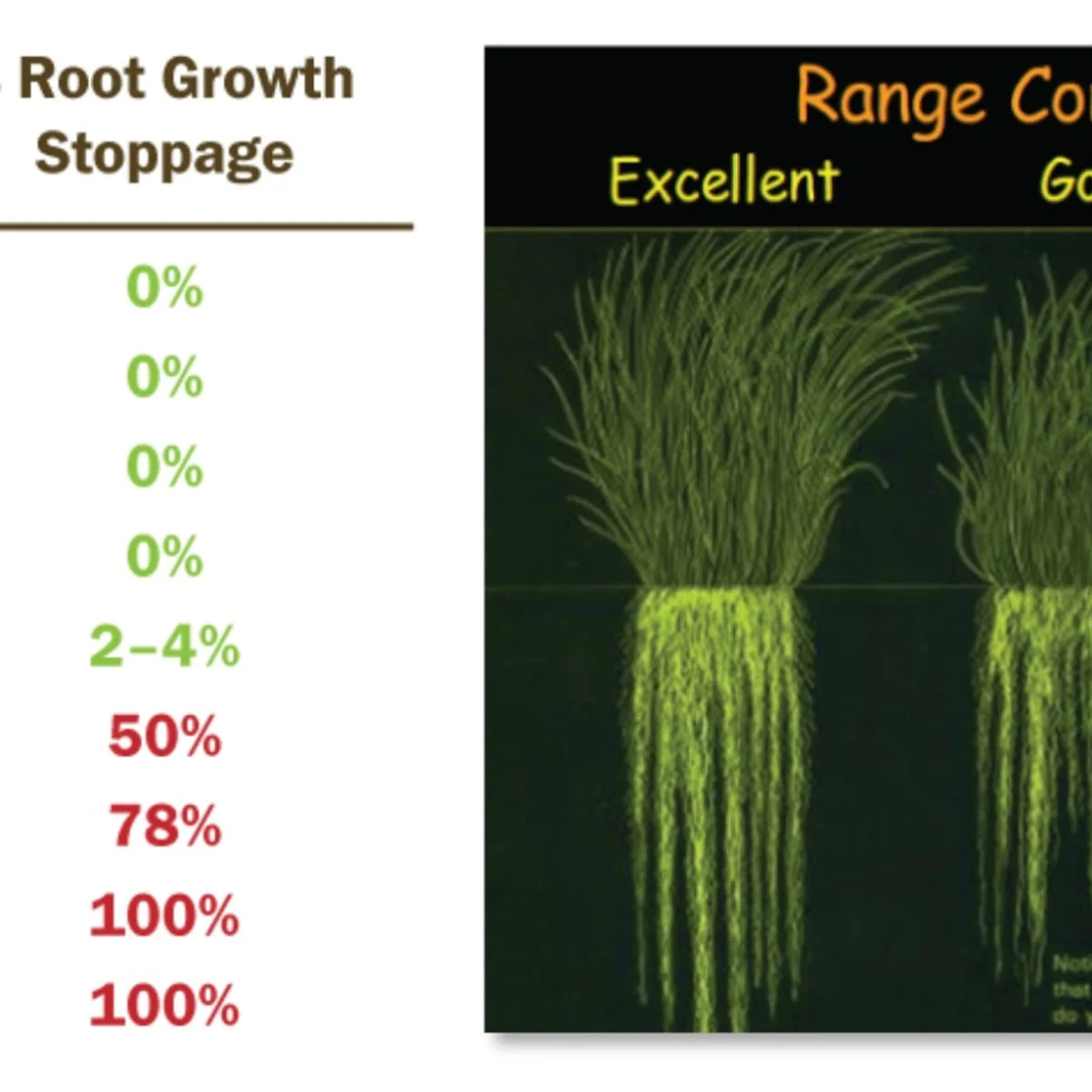 Why Equine Adaptive Grazing?